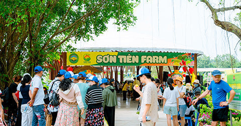 Trải nghiệm miền Tây thu nhỏ ngay gần TP.HCM tại Sơn Tiên