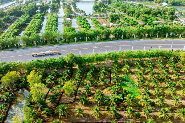 Tour Du Lịch Xanh Sơn Tiên: Chương Trình Ngoại Khóa Trọn Gói Lý Tưởng Cho Học Sinh
