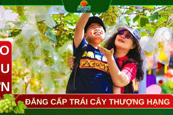 Vườn Nho Mẫu Đơn Organic Độc Đáo tại Sơn Tiên