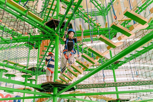 Zipline (Vút Bay Trên Không + Lướt Trên Dây Thép) IM8